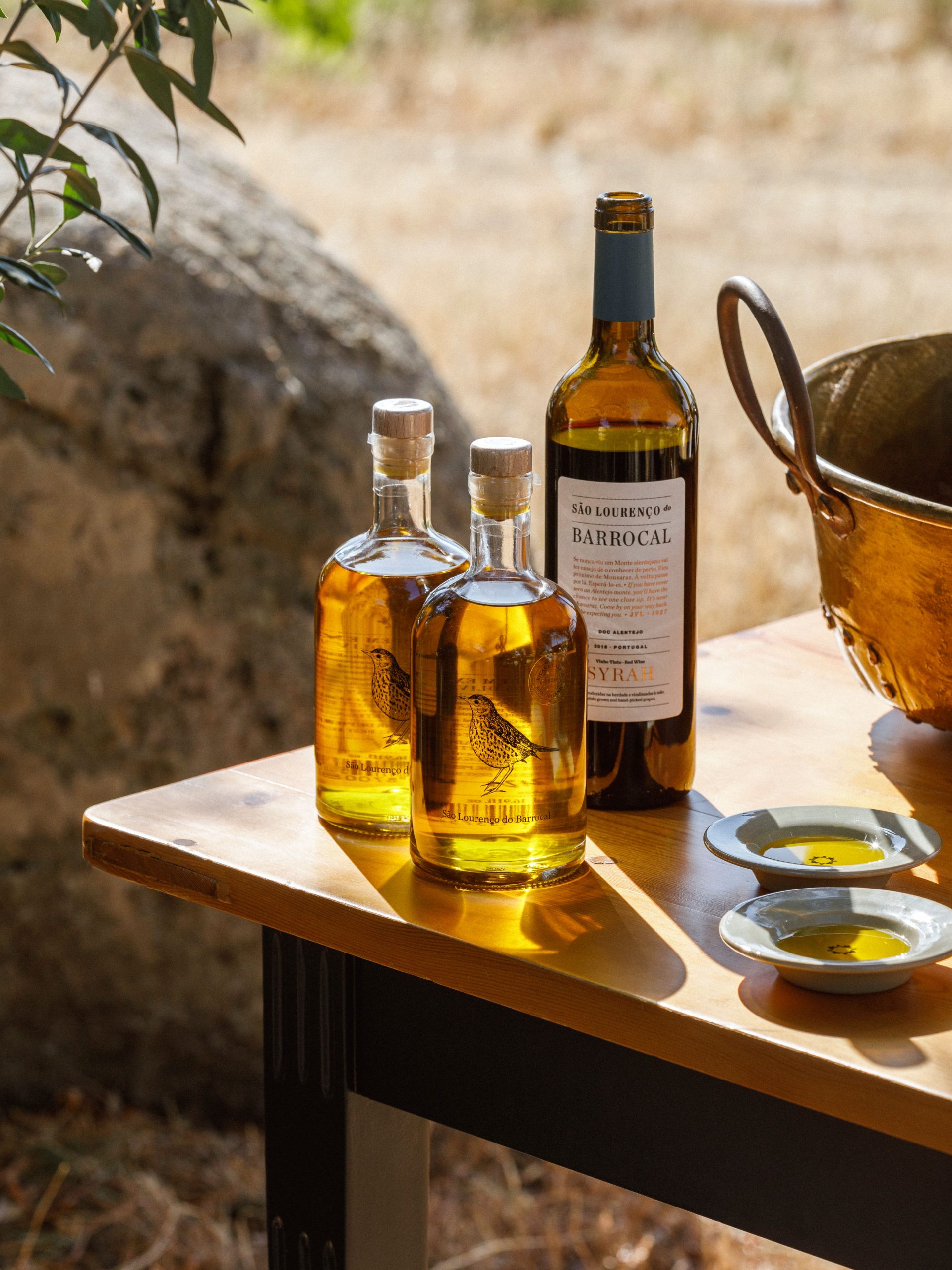 olivoturismo no Alentejo